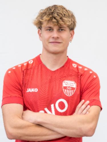 Nico Cibis