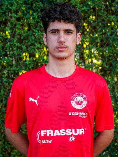 Diogo Sousa Goncalves