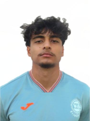 Amir Mirzayi
