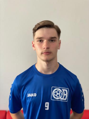 Semin Hrnjic
