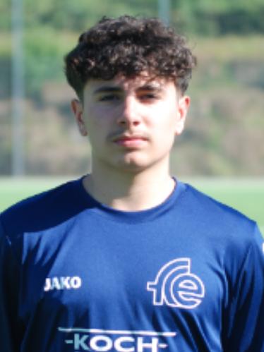 Daniele Ferro
