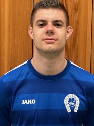 Yves-Aleksandar Mitrovic