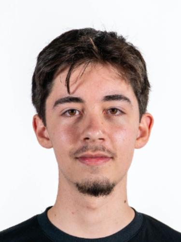 Nico Diener