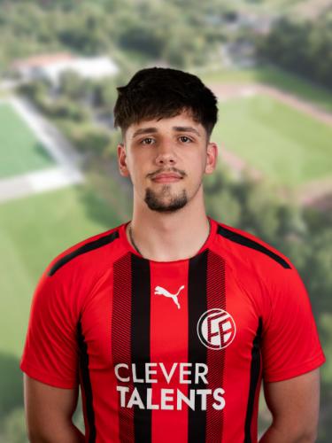 Mirko Milicevic