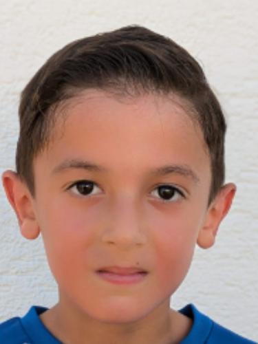 Ali Atwi