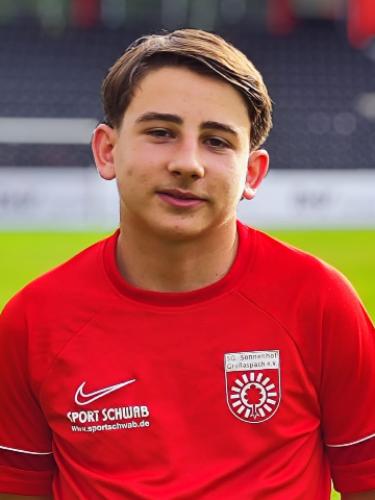 Fabian Leonard Niculescu