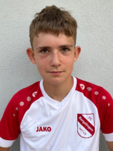 Dennis Andreas Wegner