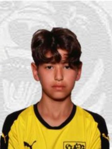 Ömer Faruk Artis