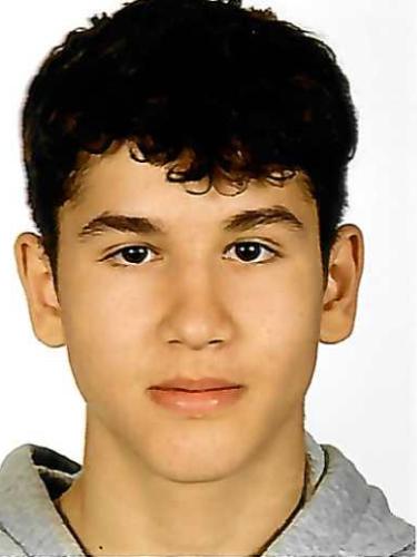 Ibrahim Hadzibulic