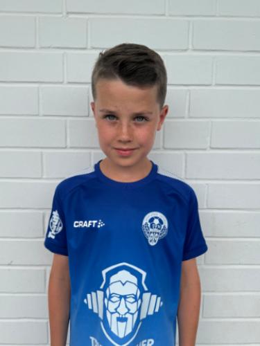 Louis Noel Schreieck