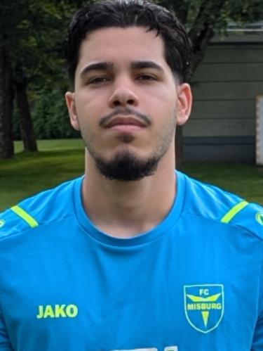 Sinan Alkan Karincali