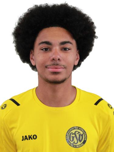Nico Juan Huylmans