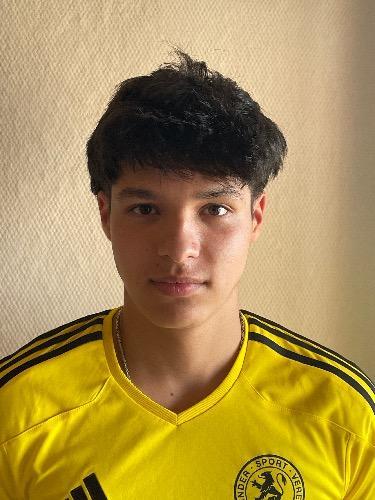 Aris Emre Bayrak