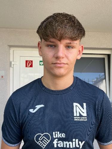 Nico Ullmann