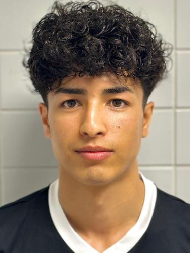 Ahmad Alizadeh