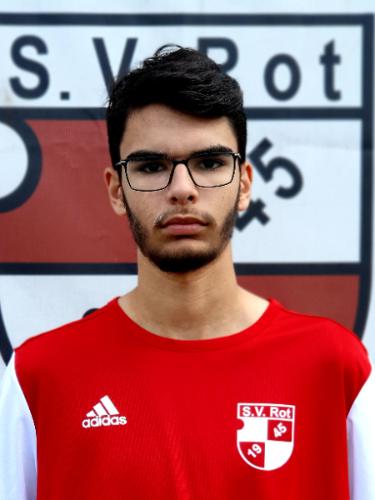 Samuel Saeidi