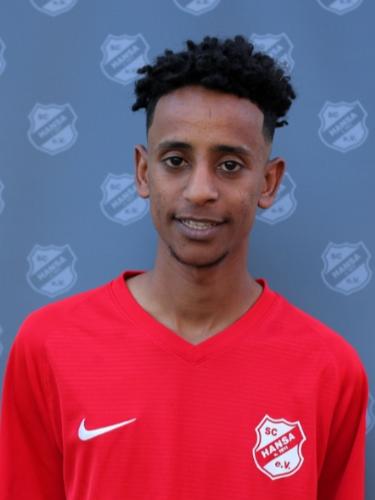 Hamza Abdelazim Mohamed Ahmed Mohamed