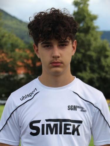 Sava Nikodijevic