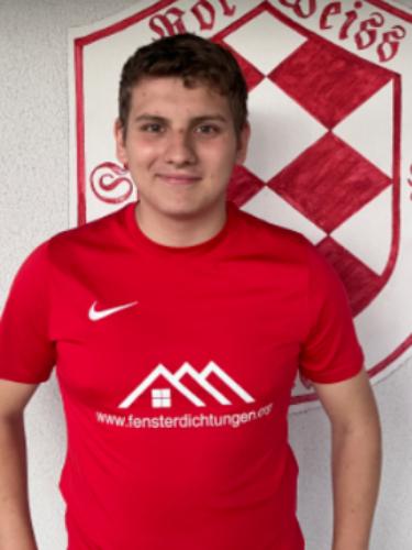 Luca-Joel Motnik