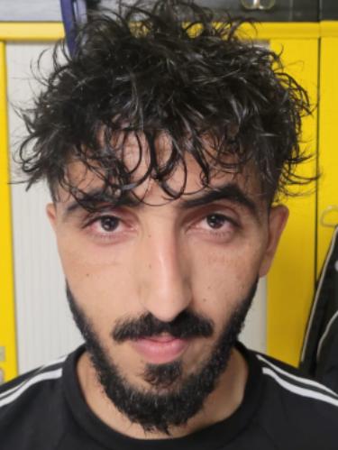 Mohammadmehdi Alali