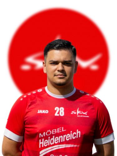 Eldin Alomerovic