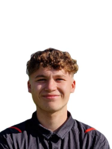 Henry Theodor Hermsen