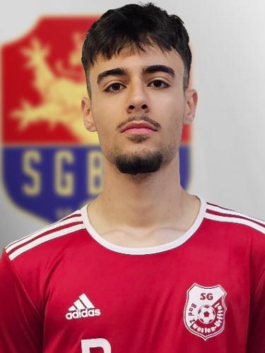 Mohammad Alfadel