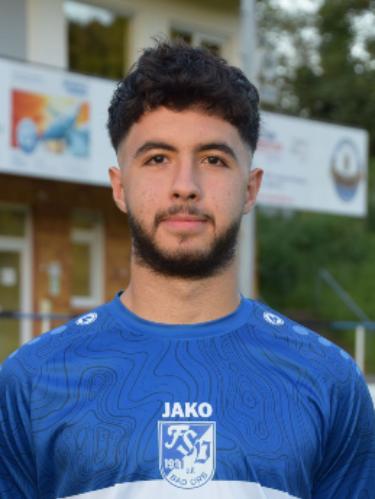 Mahdyar Safaeimojarad