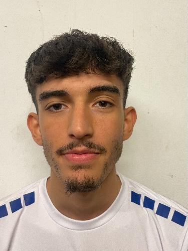 Emre Samaner