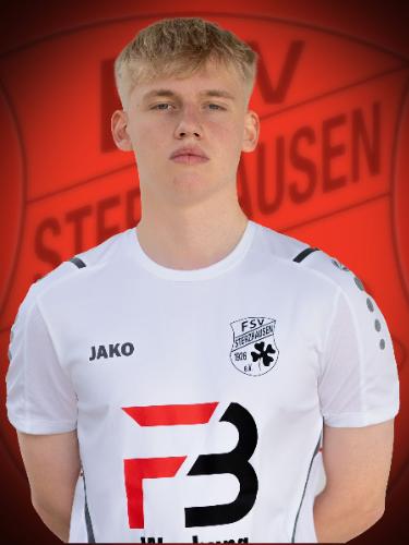 Dominik Hoehl