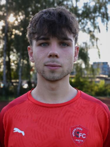 Lennart Will