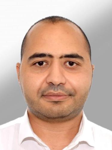 Amir Mostafa