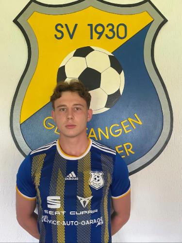 Gian-Luca Silvestrini