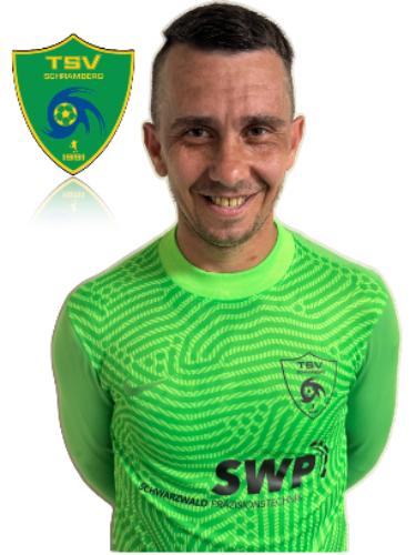 Velibor Ristic