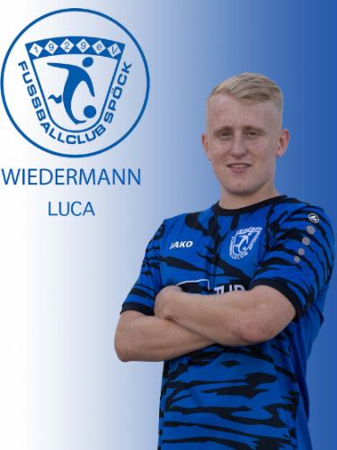 Luca Wiedermann