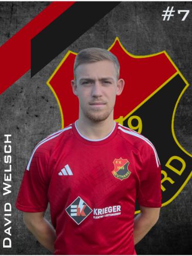 David Welsch