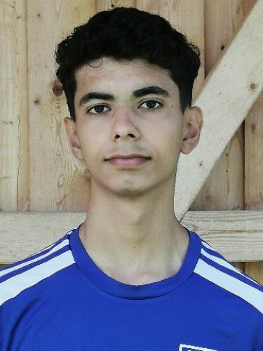 Mouhamed Al Mehdi Amhaz