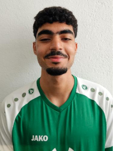 Mohamed Amin Bouzia