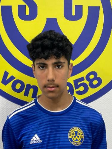 Mohammed Arash Ebrahimi