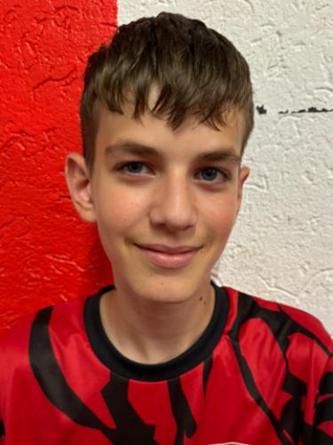 Milan Jovan Kostic