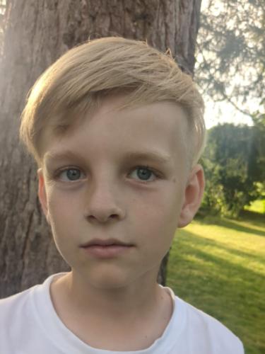 Levi Sander