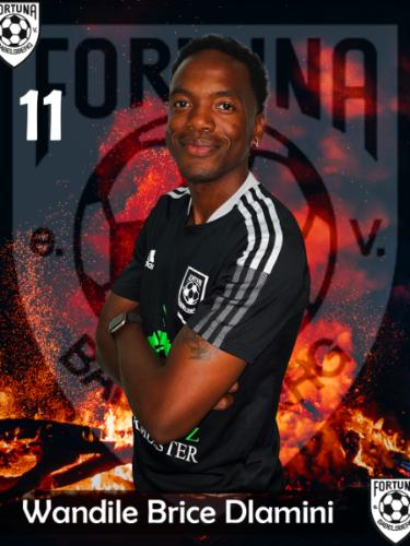 Wandile Brice Dlamini