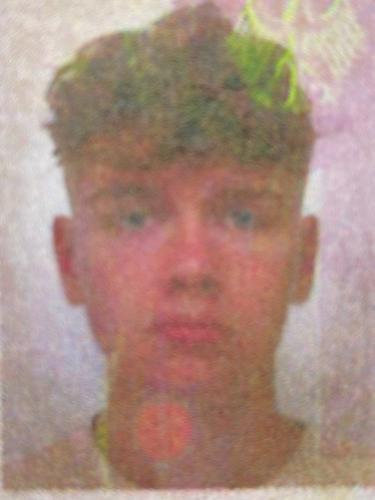 Ferdinand Emil Gauger