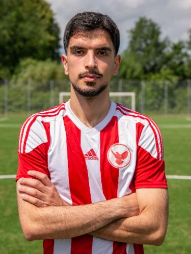 Bedirgan Karaboga