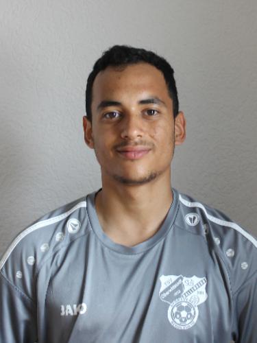 Ulrich Santos Wetterich