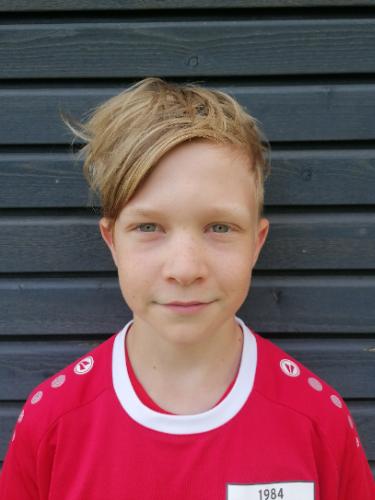Theo Amann