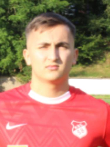 David Dzajic