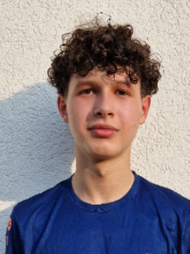 Pedro Henrique Lima Santos