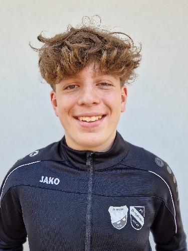 Sandro Raphael Urich