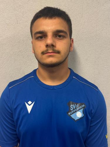 Adin Mustafic
